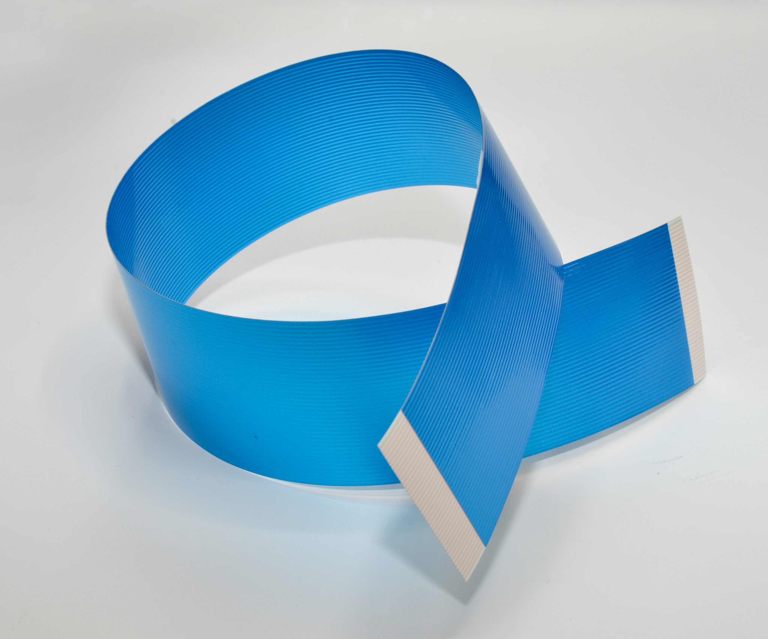 Shield-Options-Blog-scaled-1